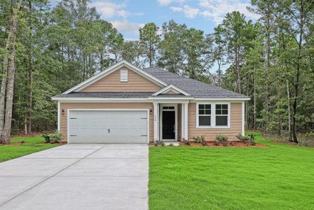 New construction Single-Family house 5724 Gabe Moultrie Dr, Ravenel, SC 29470 - image