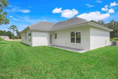 New construction Single-Family house 110 New Leatherwood Drive, Palm Coast, FL 32137 Courtyard IV- photo 28 28