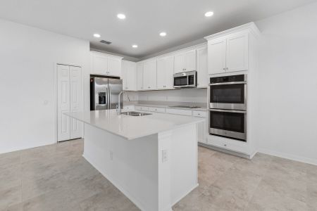 New construction Single-Family house 3195 Fall Harvest Dr, Zephyrhills, FL 33540 plan Marina - image 5