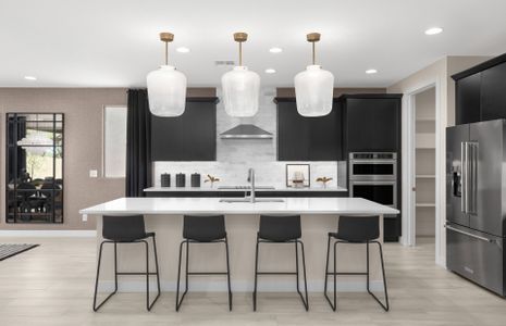 New construction Single-Family house 3855 N Sun City Blvd, Florence, AZ 85132 plan Refuge - image 14