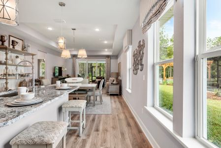 New construction Single-Family house 26 Owenlee Ct, Nocatee, FL 32081 plan The Apopka - image 16