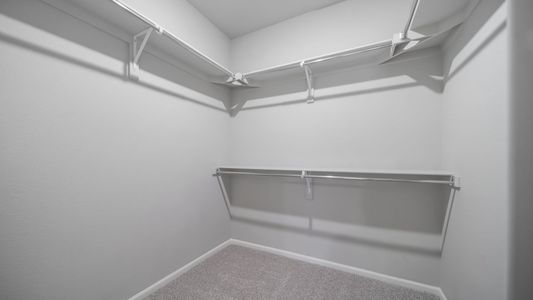New construction Single-Family house 5170 N Quatar St, Aurora, CO 80019 plan Sojourner - image 18