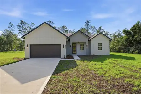 New construction Single-Family house 7433 Sw 138Th Ter, Dunnellon, FL 34432 - image