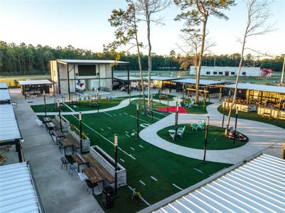 Roman Forest by Stonefield Homes in New Caney - photo 5 5