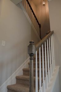 New construction Single-Family house 3844 Ball Ground Hwy, Canton, GA 30114 plan Mayfield - image 14