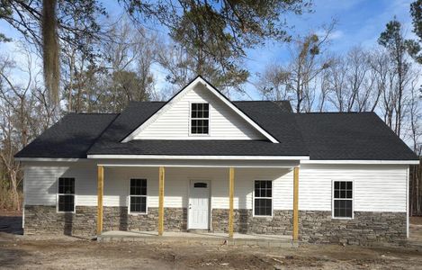 New construction Single-Family house 29 Dandilion, Round O, SC 29474 null- photo 0