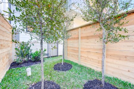 This corner unit features a side yard with freshly planted trees.