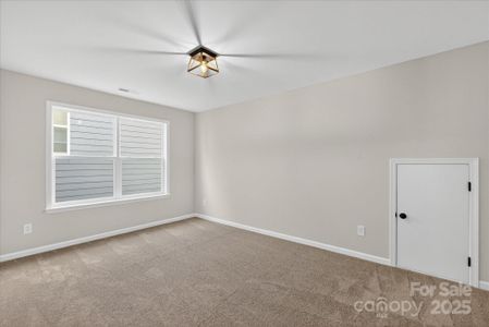 New construction Single-Family house 18024 Wilbanks Dr, Charlotte, NC 28278 plan Savannah - image 14