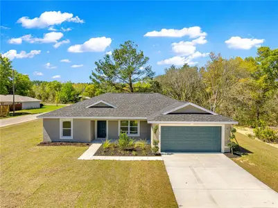 New construction Single-Family house 22 Malauka Run Ln, Ocklawaha, FL 32179 - image
