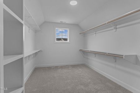 New construction Single-Family house 812 Willow Tower Ct, Rolesville, NC 27571 - image 19