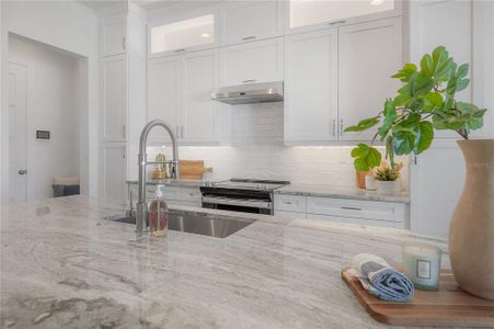 New construction Townhouse house 5530 N 9Th St, Unit 2, Tampa, FL 33604 - image 14