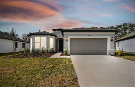 New construction Single-Family house 1279 Kazaz Ct, Zephyrhills, FL 33540 Medina- photo 21 21