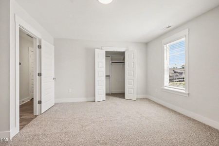 New construction Single-Family house 22 Juju Dr, Clayton, NC 27520 - image 18