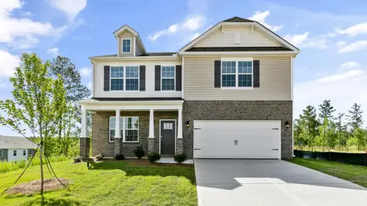 New construction Single-Family house 135 Strawberry Ct, Lexington, NC 27295 plan Wilmington - image