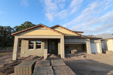 New construction Single-Family house 20243 Oriana Loop, Land O' Lakes, FL 34638 Corina  III Bonus- photo 82 82