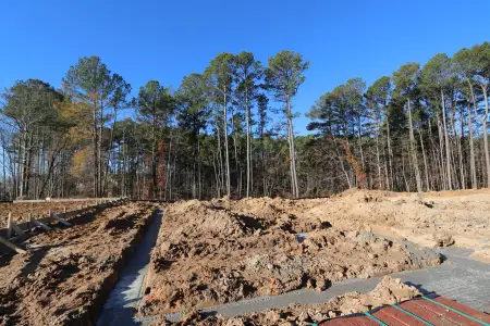 New construction Single-Family house 2408 Andrena Wy, New Hill, NC 27562 plan Brittain - Single Family Signature - image