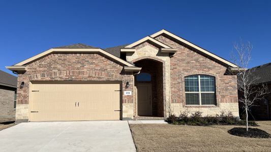 New construction Single-Family house 16020 Bronte Ln, Fort Worth, TX 76247 null- photo 4 4