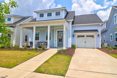 New construction Single-Family house 3494 Habenaria Road, Mount Pleasant, SC 29466 - photo 0