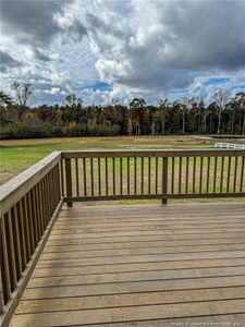 New construction Single-Family house 5137 Spring Hill Church Rd, Lillington, NC 27546 null- photo 31 31