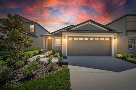 New construction Single-Family house 17512 Shirewood Wy, Land O' Lakes, FL 34638 plan Annapolis - image