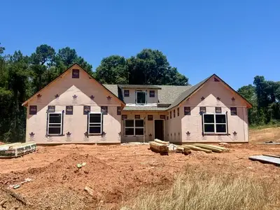New construction Single-Family house 1958 W Sr 54 Hwy, Hogansville, GA 30230 plan Davenport - image