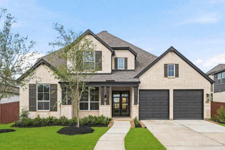 New construction Single-Family house 8919 Blue Grotto Ln, Manvel, TX 77578 plan 222 - image
