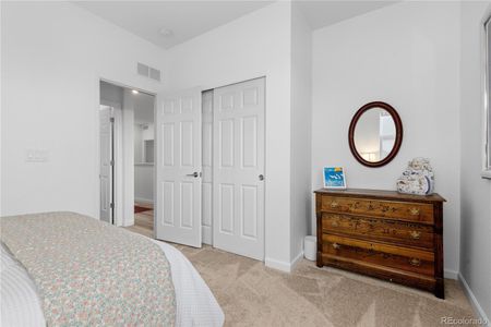 New construction Single-Family house 16772 Dry Camp Dr, Parker, CO 80134 - image 12