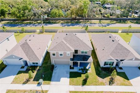 New construction Single-Family house 7711 Rosewood Garden Loop, Tampa, FL 33637 null- photo 67 67