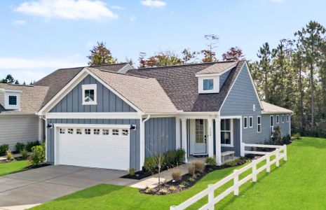 New construction Single-Family house 4177 Yellow Flag Iris St, Leland, NC 28479 plan Contour - image