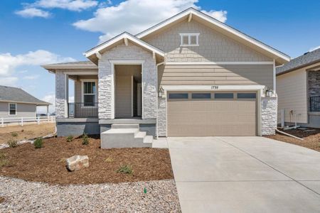 New construction Single-Family house 1730 S Gold Bug Wy, Aurora, CO 80019 - image