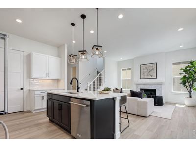 New construction Single-Family house 1651 Poplar Dr, Erie, CO 80516 plan Homestead Series Highland  - image 13