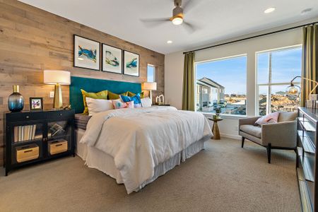 Baseline Peaks Collection by David Weekley Homes in Westminster - image 10