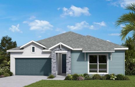 New construction Single-Family house 5242 Colony Vista Dr, Apollo Beach, FL 33572 plan The Briarbrook - image