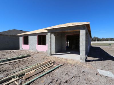 New construction Single-Family house 3164 Adams Cross Dr, Zephyrhills, FL 33540 Marque- photo 18 18