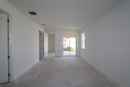 New construction Single-Family house 33227 Amling Pecan Br, Wesley Chapel, FL 33545 Newport II- photo 39 39