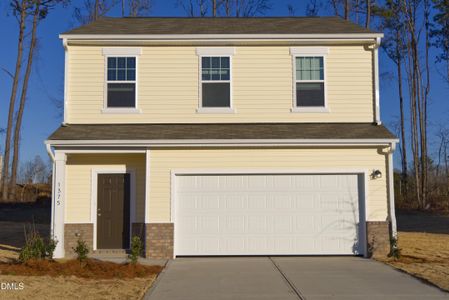 New construction Single-Family house 1375 Pond Overlook Dr, Nashville, NC 27856 - image
