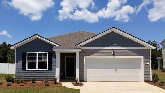 New construction Single-Family house 398 Hadley Springs Ave, Longs, SC 29568 plan Aria - image