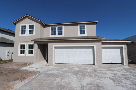 New construction Single-Family house 20050 Oriana Loop, Land O' Lakes, FL 34638 Santa Monica- photo 100 100