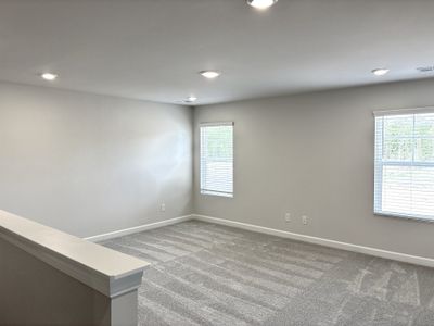 New construction Single-Family house 247 Taylor Woods Ct, Greenville, SC 29607 plan The Princeton A - image 15