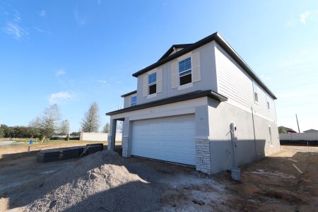 New construction Single-Family house 38350 Tobiano Loop, Dade City, FL 33525 Cabo- photo 79 79