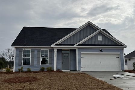 New construction Single-Family house 701 Bramble Wy, Unit 36, Conway, SC 29527 - image
