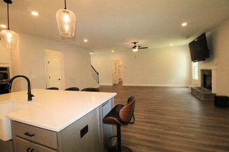 New construction Single-Family house 93 Riverwalk Manor Dr, Dallas, GA 30132 - image 10
