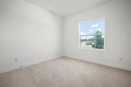 New construction Single-Family house 2945 Stewart Creek Cir, Plant City, FL 33565 plan Belmar - image 20