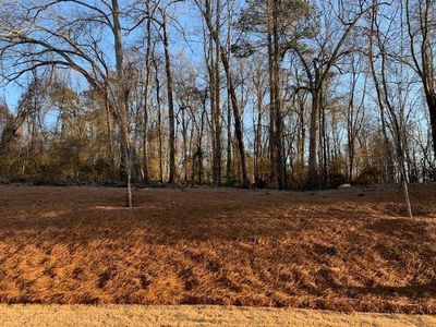 New construction Single-Family house 207 Hickory Bluffs Pkwy, Canton, GA 30114 Camden- photo 12 12