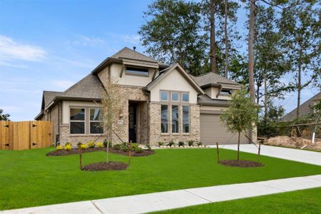 The Meadows at Imperial Oaks 60 by Coventry Homes in Conroe - photo 7 7