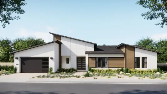 New construction Single-Family house 11139 Rio Bravo Rd, Gold Canyon, AZ 85118 plan 1022 - image 2