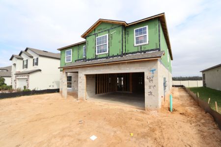 New construction Single-Family house 12294 Hilltop Farms Dr, Dade City, FL 33525 Malibu- photo 54 54