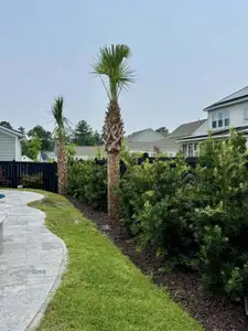 New construction Single-Family house 2221 Generals St, Charleston, SC 29492 null- photo 46 46