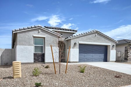 New construction Single-Family house 2884 E Padua Ave, San Tan Valley, AZ 85143 plan Corona - image