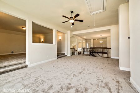 New construction Single-Family house 4301 Whitestone Dr, Parker, TX 75002 null- photo 13 13